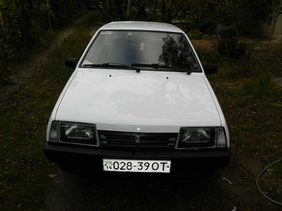 Парочка фотографій 3