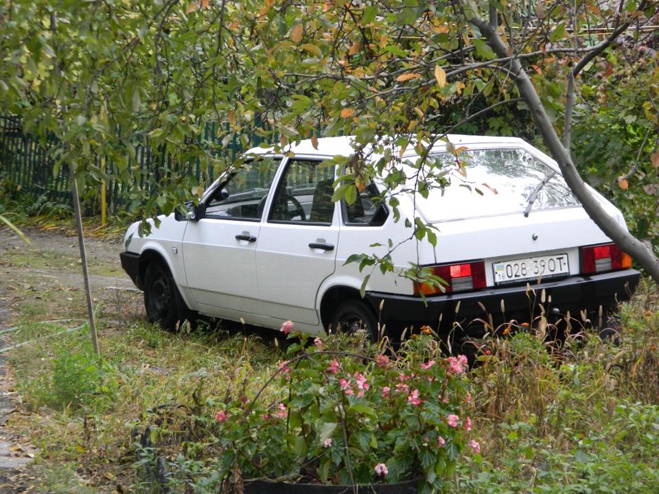 Парочка фотографій 1