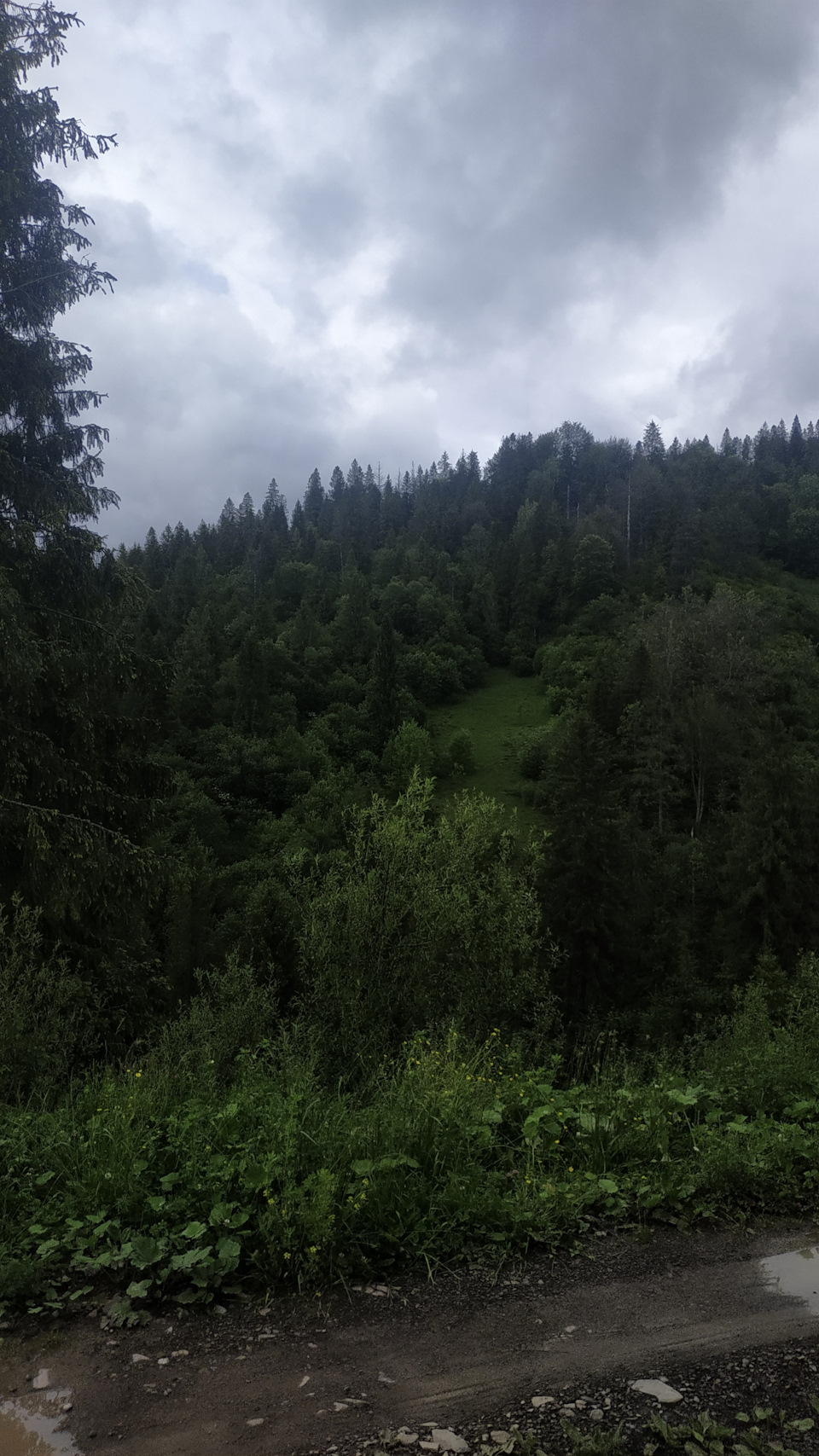 Зганяли до Карпат 4