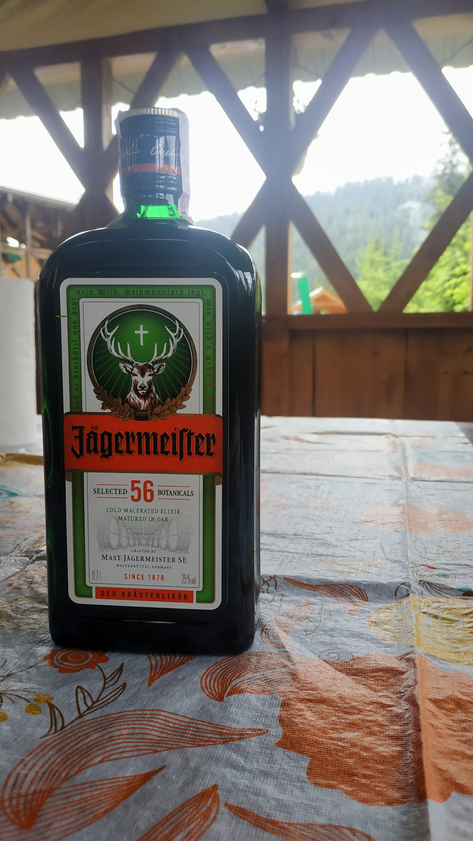 Зганяли до Карпат 2