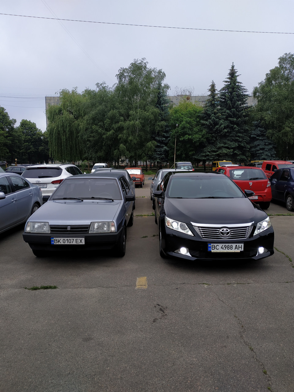 Зганяли до Карпат 1