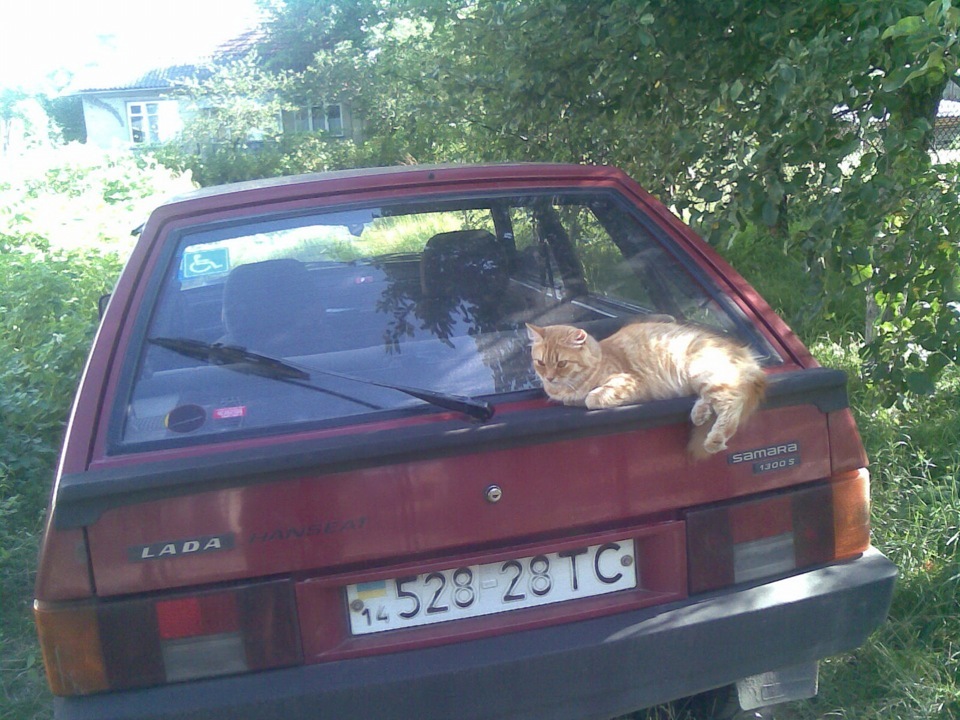 Яка вона була до ремонту 5