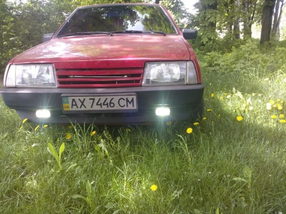 Поїздка до села