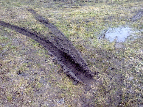 Поїздка за місто… 3