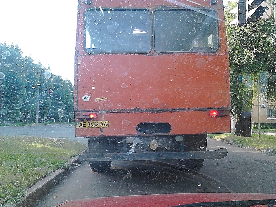 Вони скрізь! 4