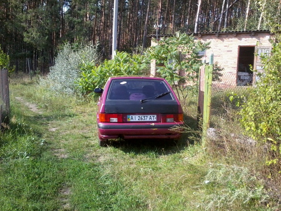Невелика фотосесія 3