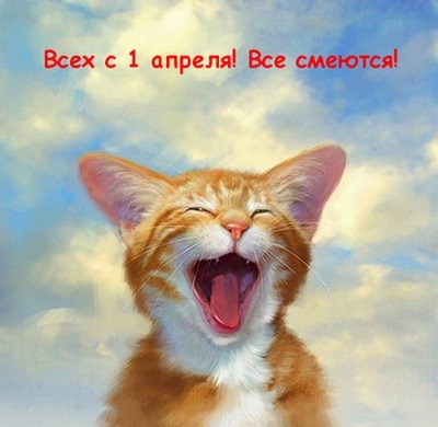 дорогі котики! 1