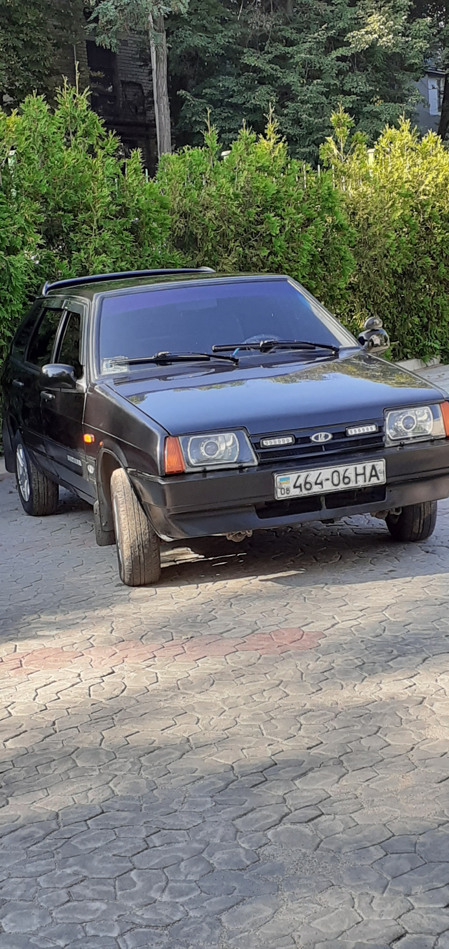 Почистив пір'їни. 4