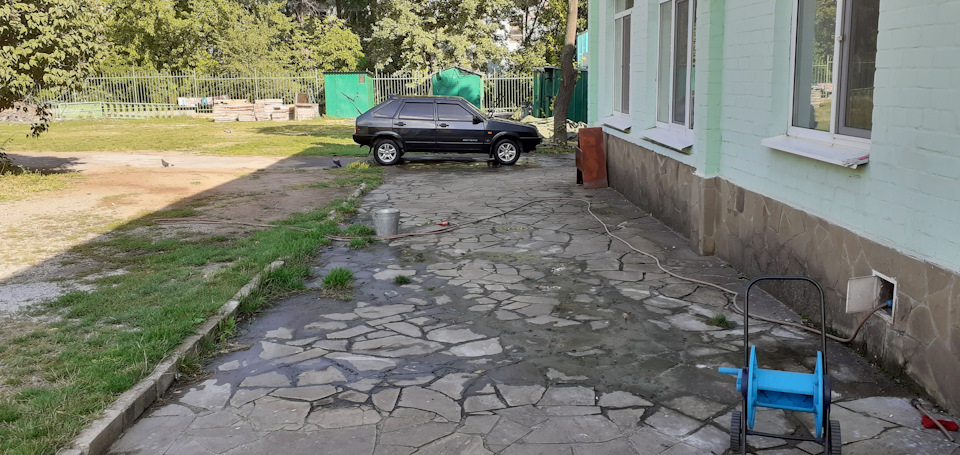 Почистив пір'їни. 1