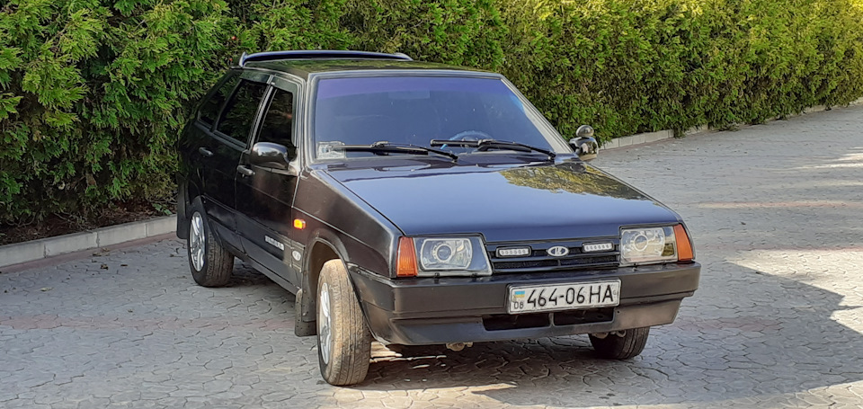Почистив пір'їни. 3
