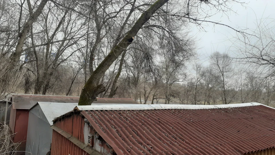 Про різне.(дерево, клапана, підшипник задньої маточини)