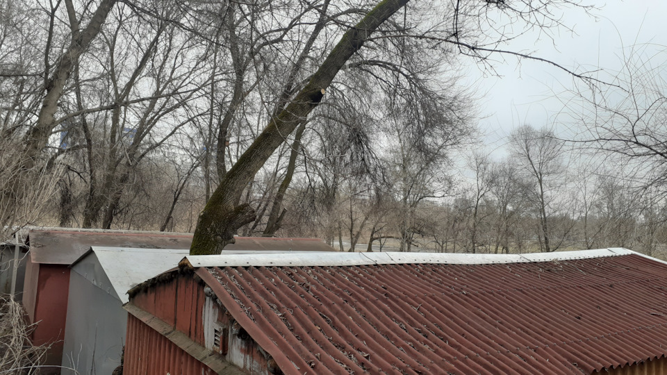 Про різне.(дерево, клапана, підшипник задньої маточини) 1
