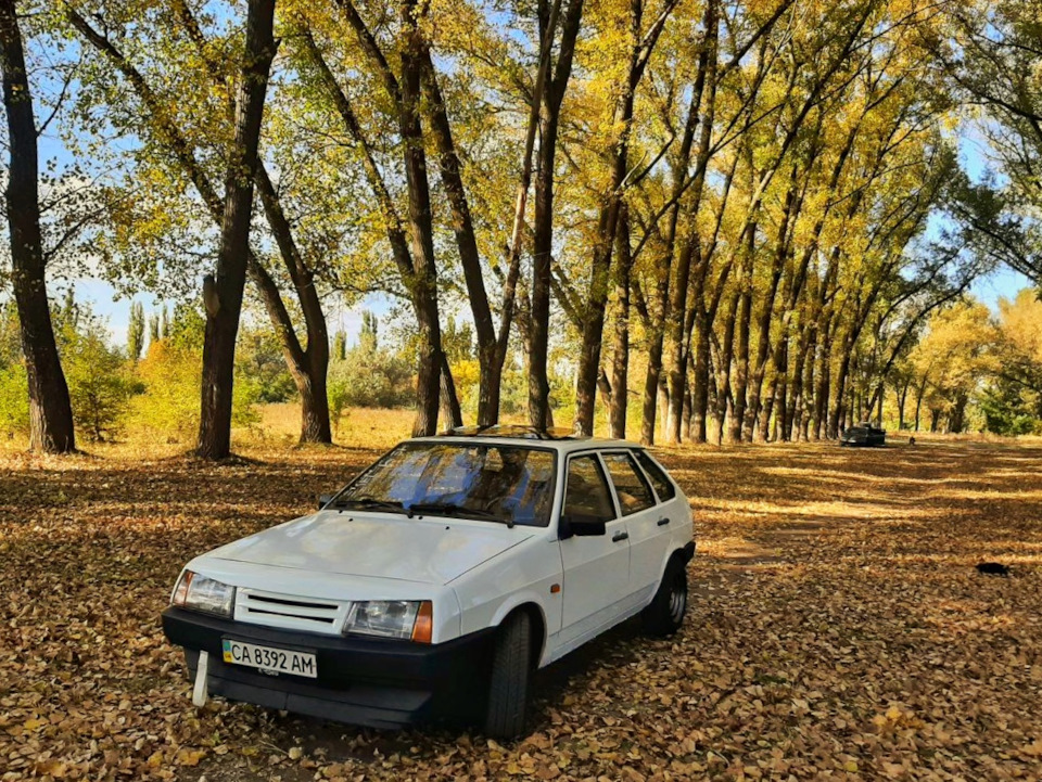 Дев'ятка на тлі осені 3