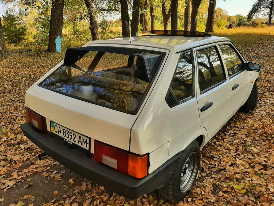 Дев'ятка на тлі осені 2