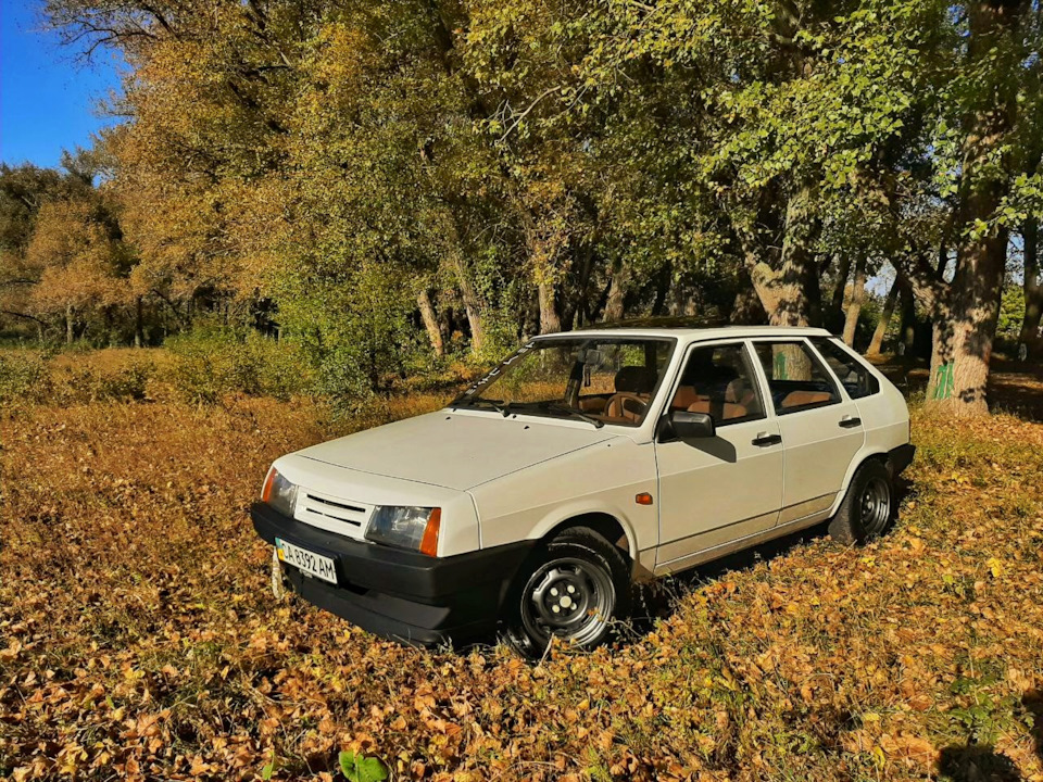 Дев'ятка на тлі осені 5