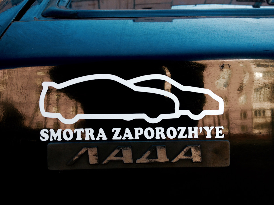 #smotra 1