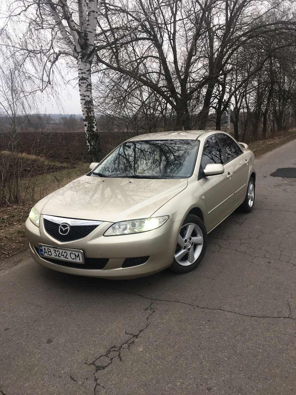 Покупка авто 1