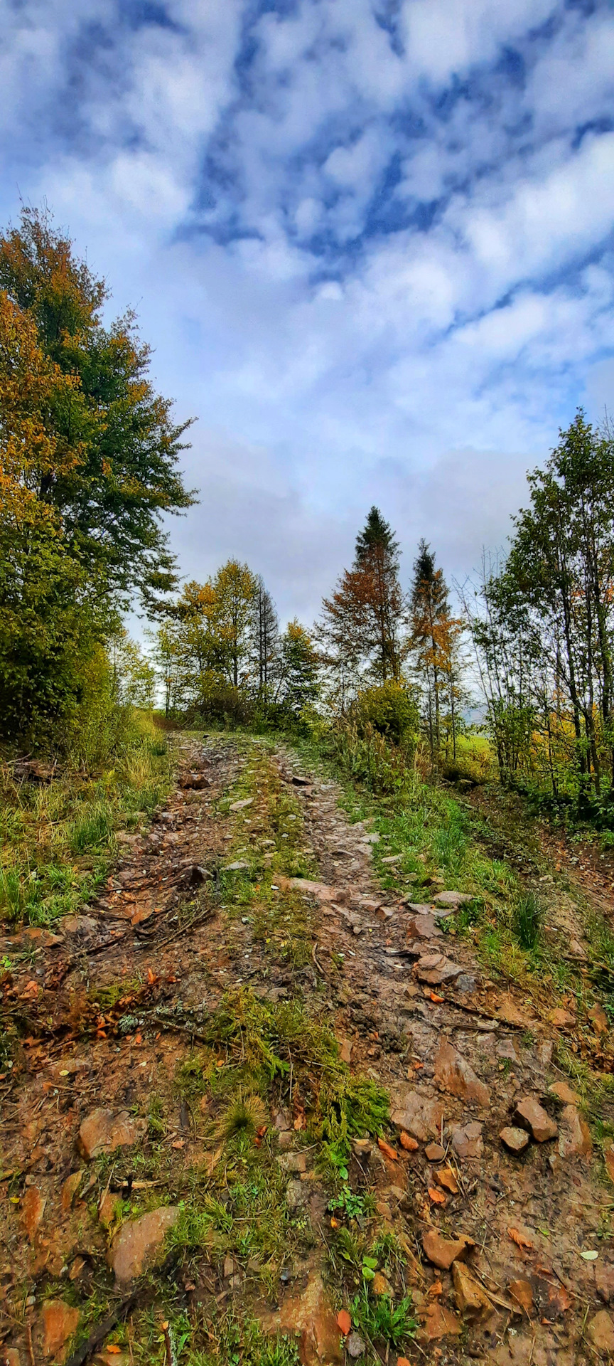 Поїздка до Карпат 2