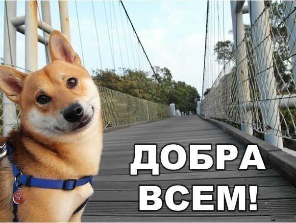 Підсумки року, а ми на місці( 3