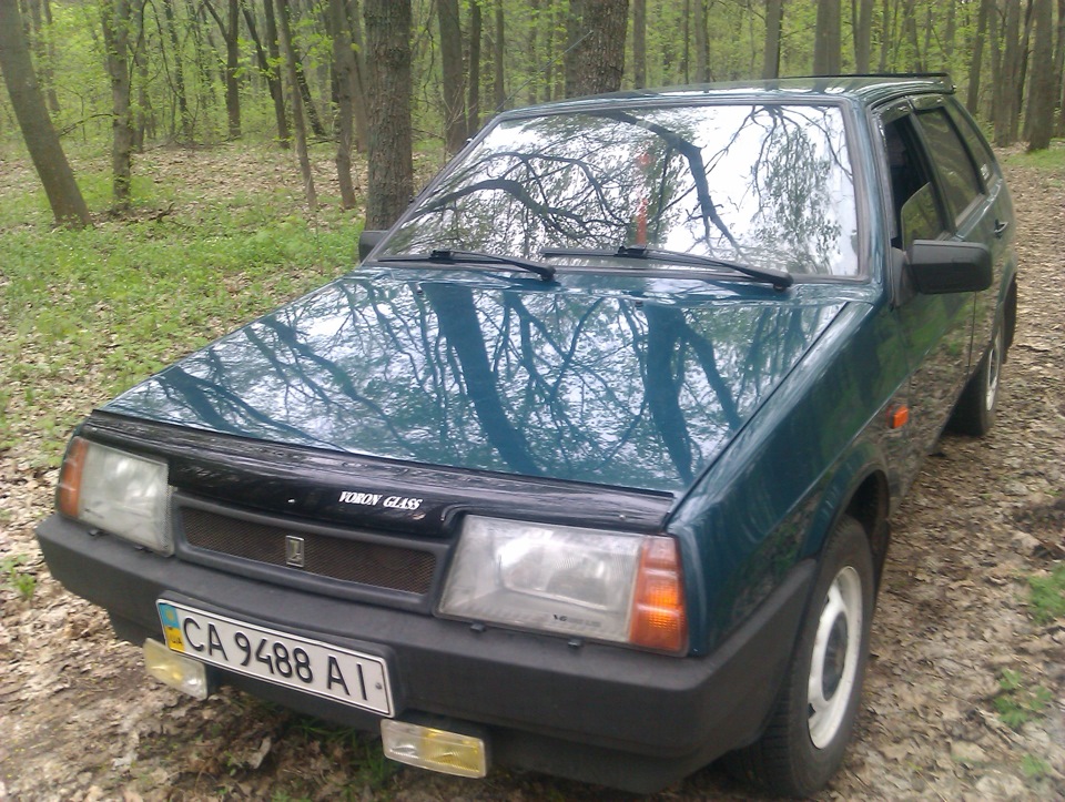 Просто фотки на природі) 4
