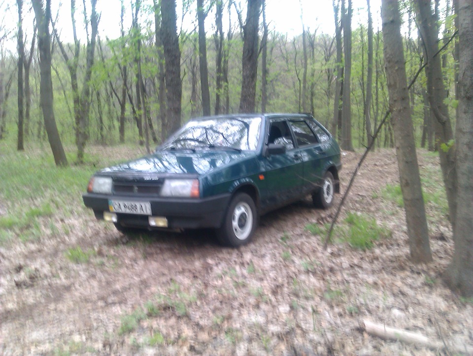 Просто фотки на природі) 3
