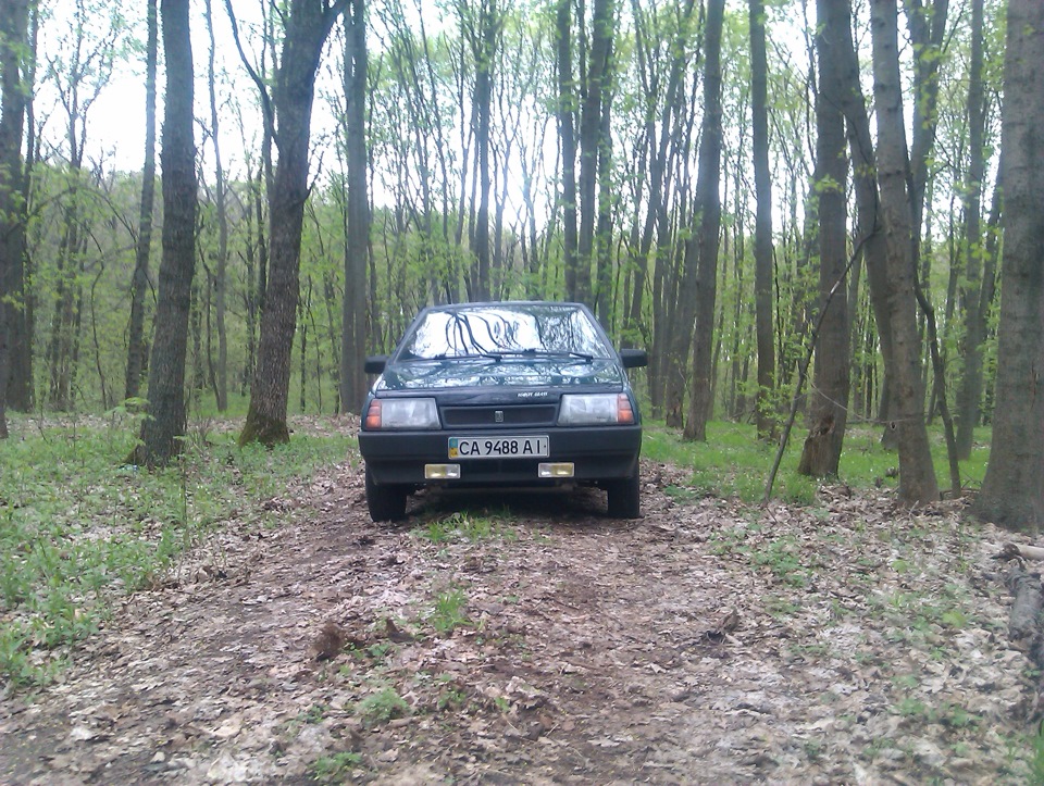 Просто фотки на природі) 1