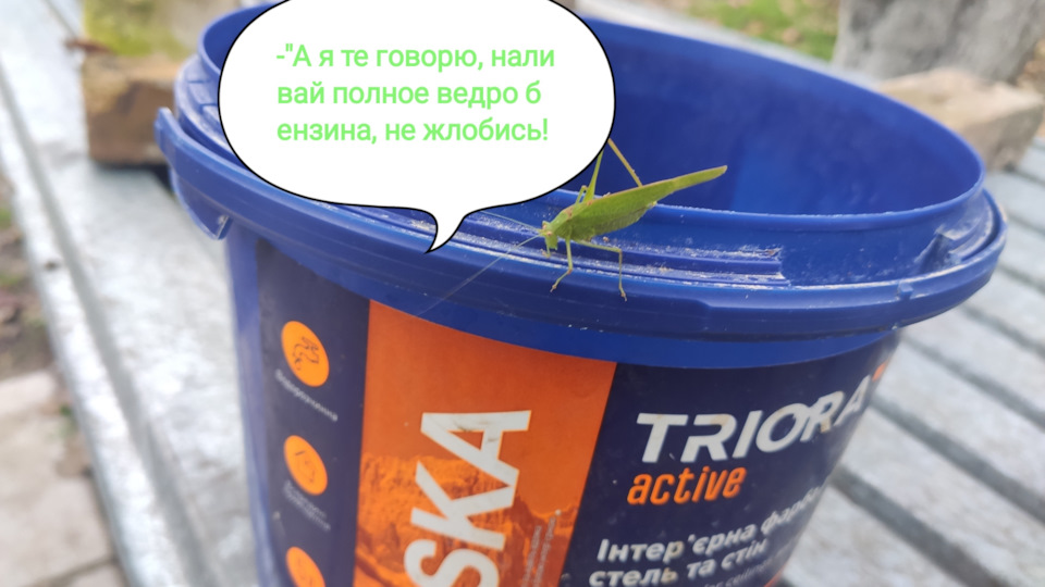 Гей, шофер! 2