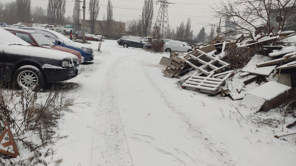 На зимівлю до весни. 4