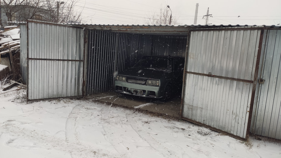 На зимівлю до весни. 2