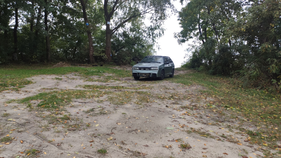 В ліс по гриби ... 1