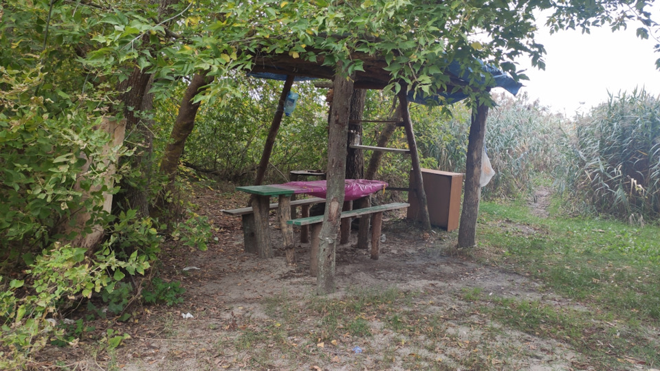 В ліс по гриби ... 4