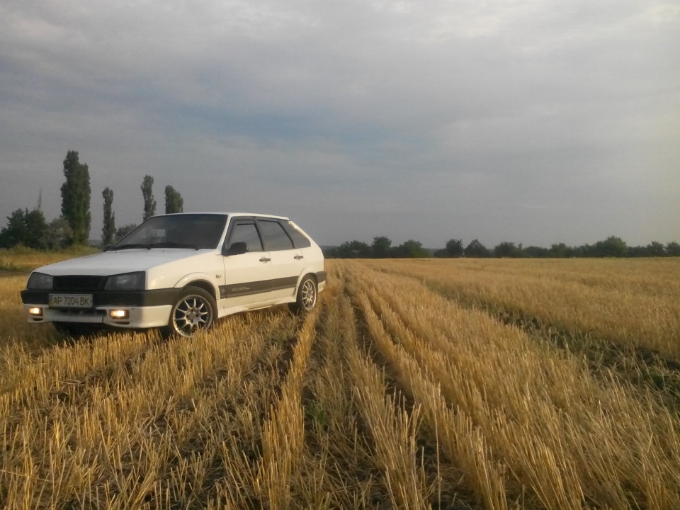 В чисто поле … 4