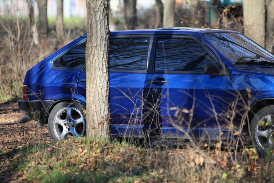 осінь 5