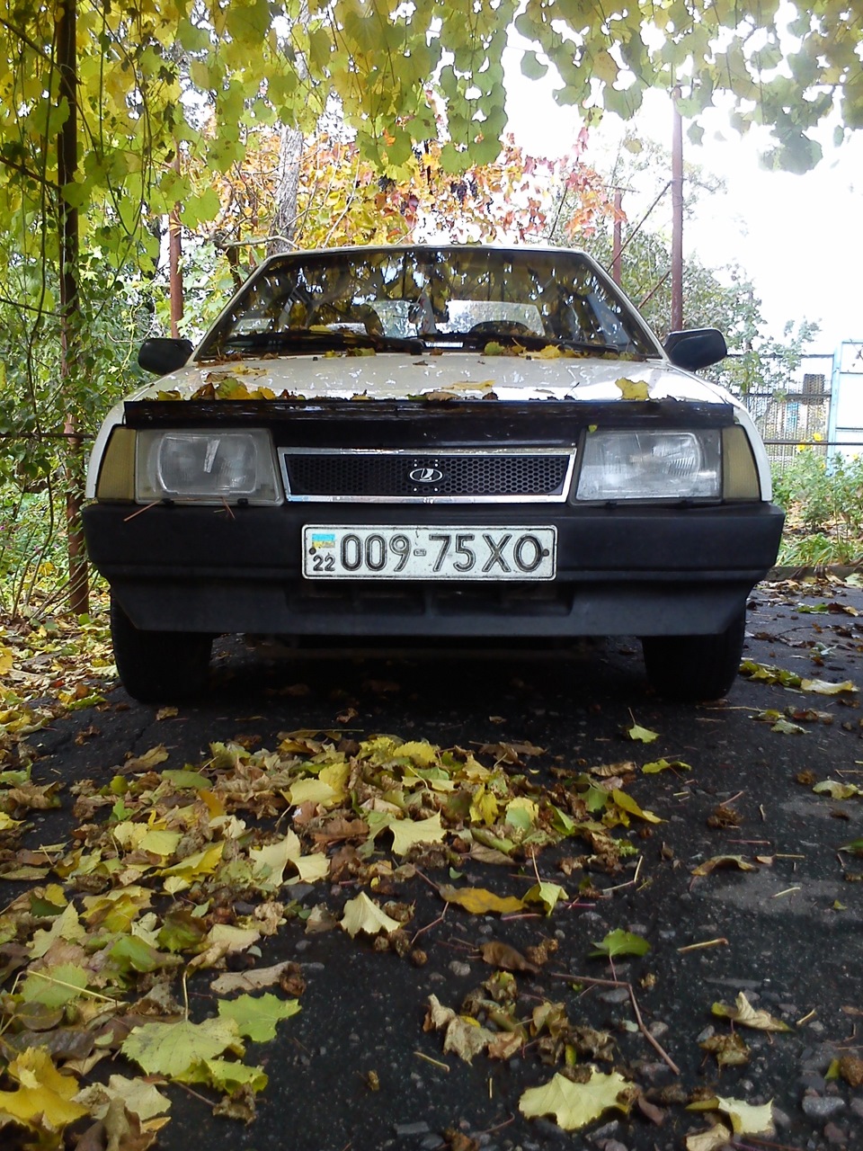 Архив:) 1