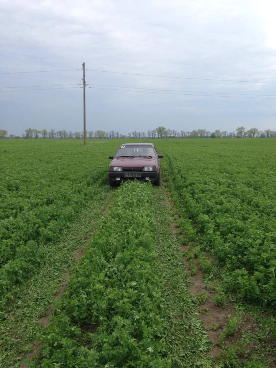 Фото.