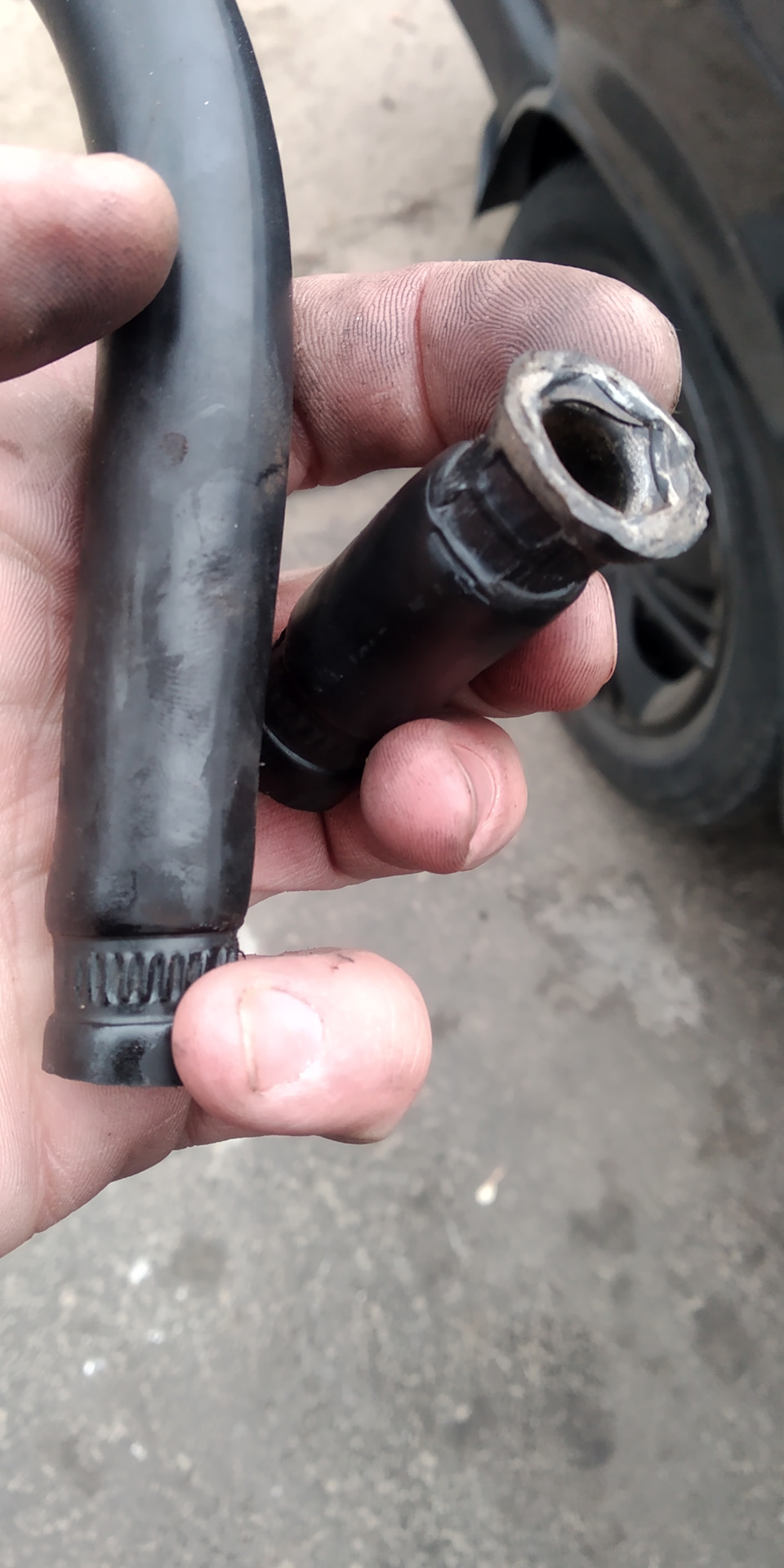 Зима, холоди, самотні будинки 1