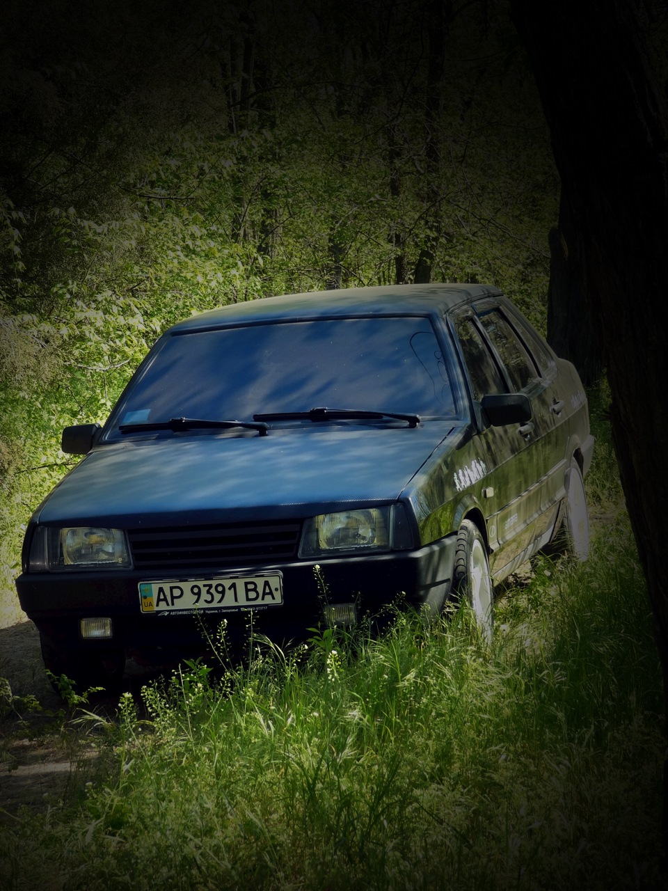 Нові фотографії 4