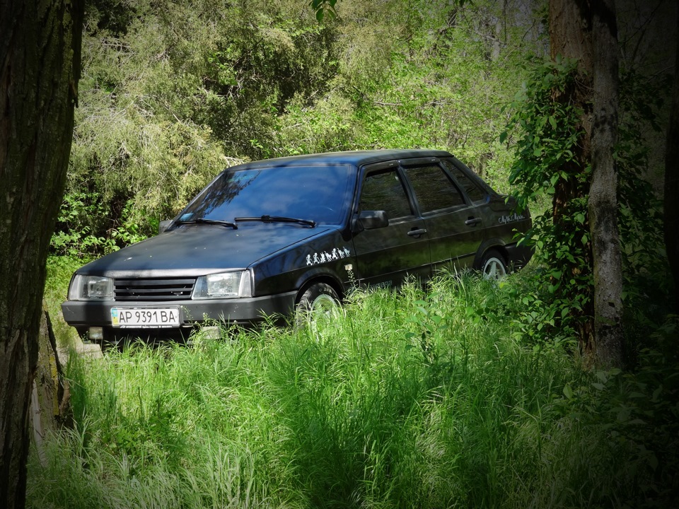Нові фотографії 1