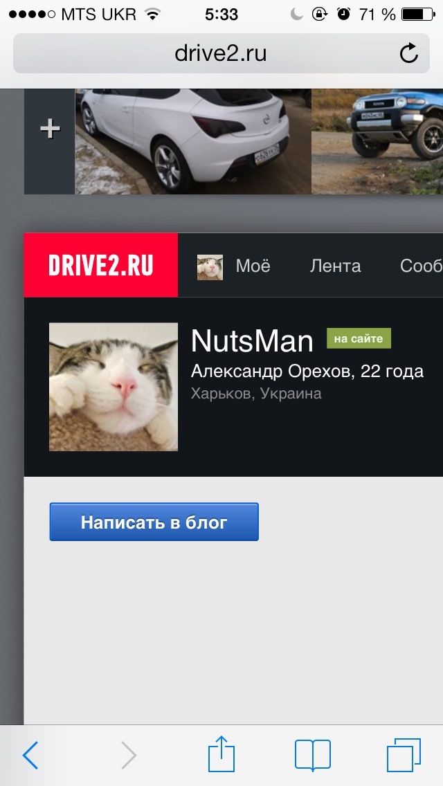 Котани рулять)))) 2