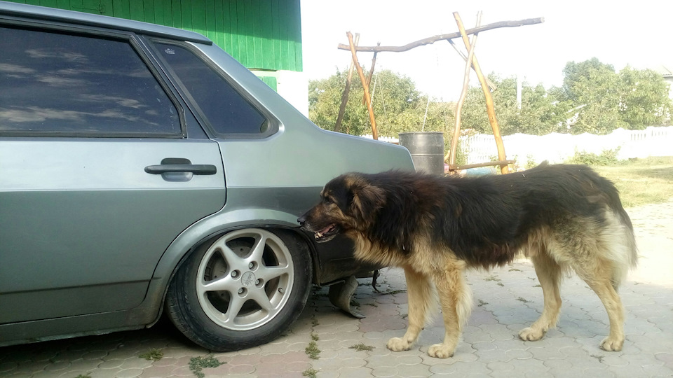 Занизив!))) 1