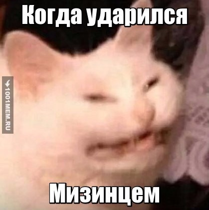 Як я зустрів правець або встановлення лінз 5