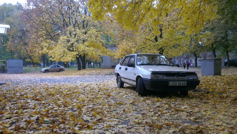 Осінь 5