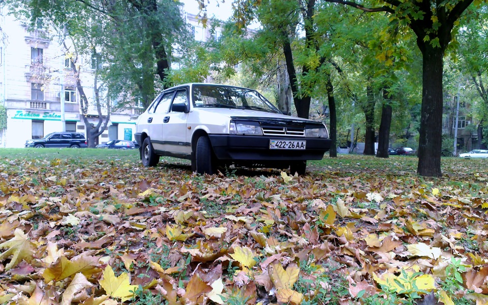 Осінь 1