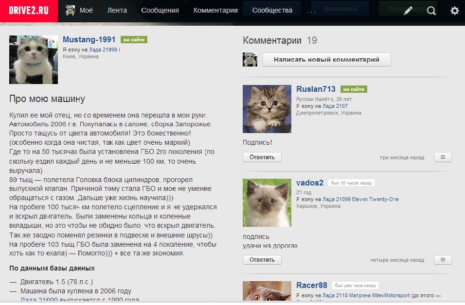 Коти атакують))) 1