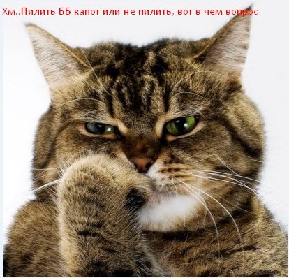 Плани на майбутнє - ББ капот, а чи варто? 2