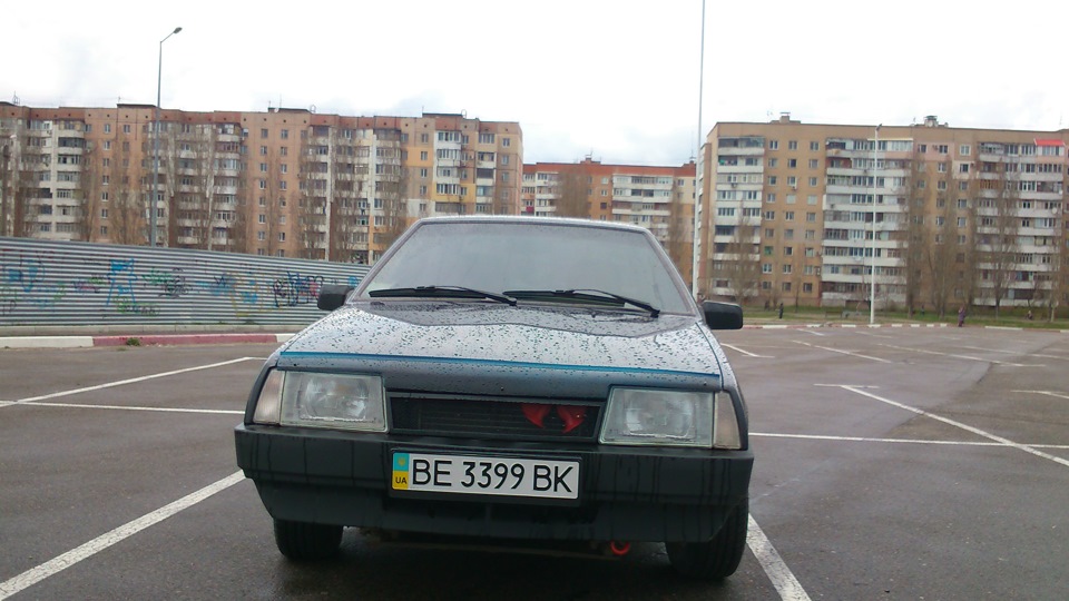 Мухобійка в брухт. 1