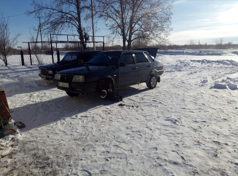 Купив зимову різю. 3