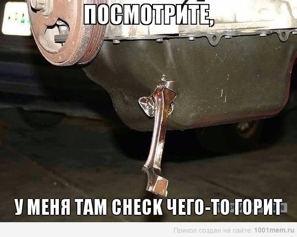 У гонитві за заводкою №4 1