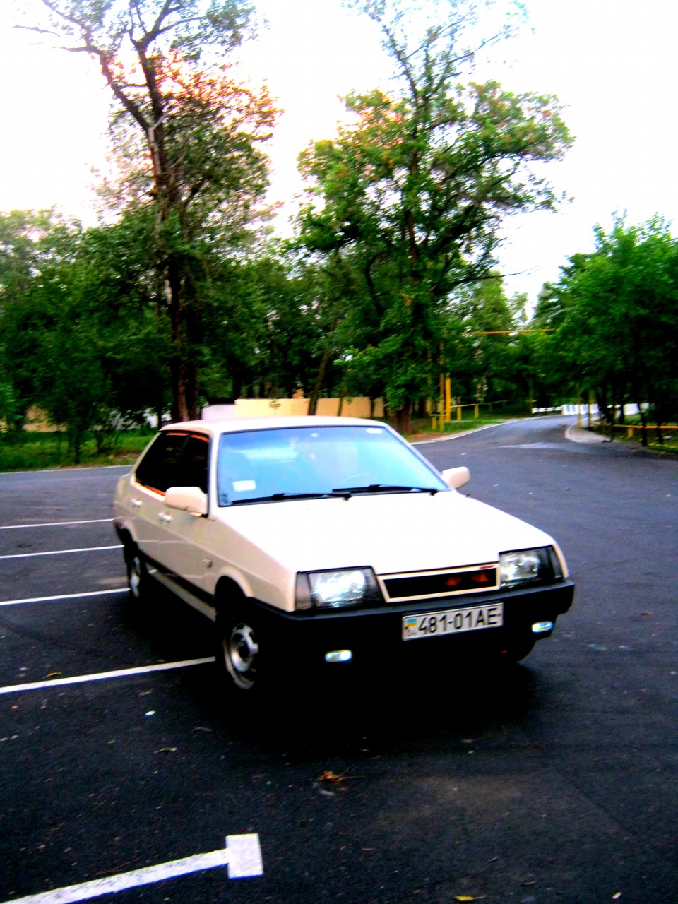 Фотки в лісі 5