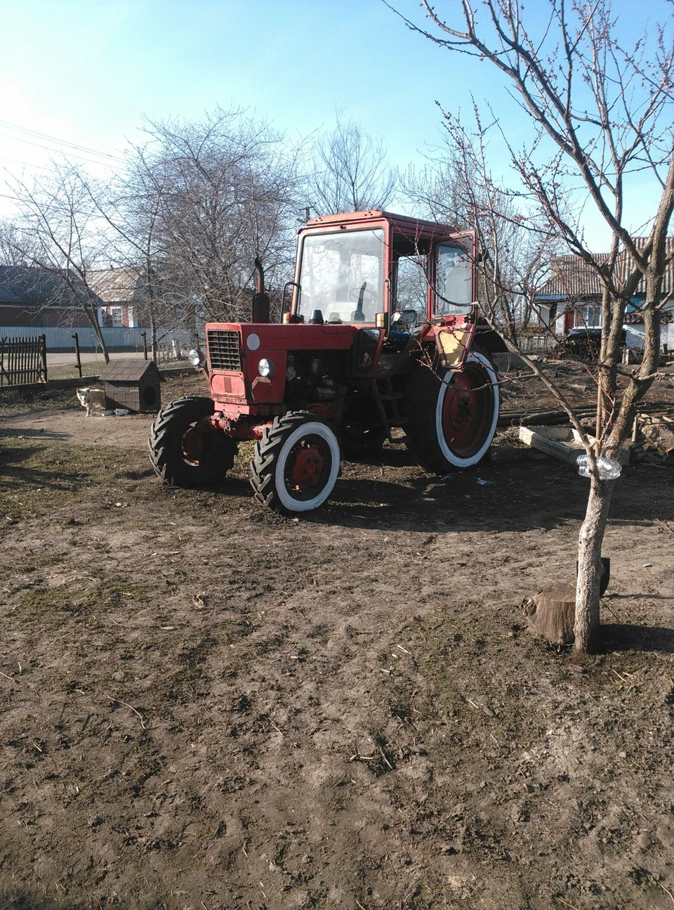 Хто сказав, що вайт воли тільки для автомобілів